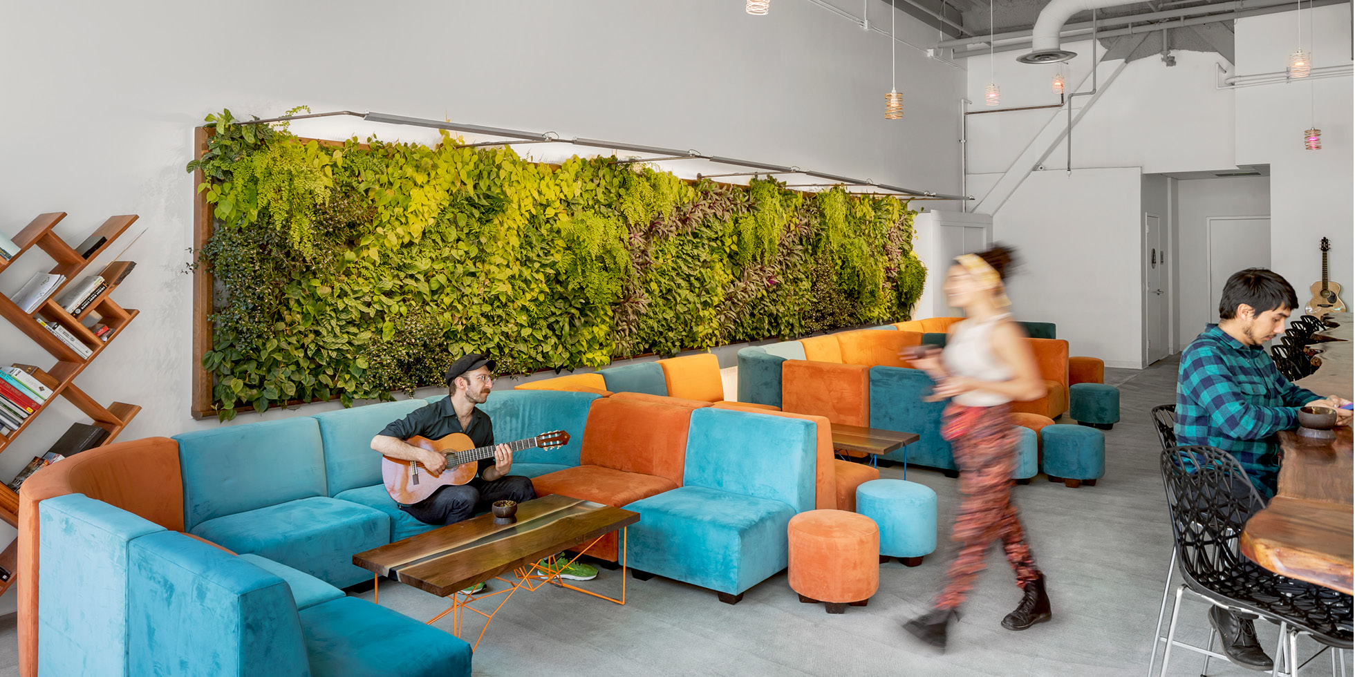 MeloMelo Kava Bar | Habitat Horticulture